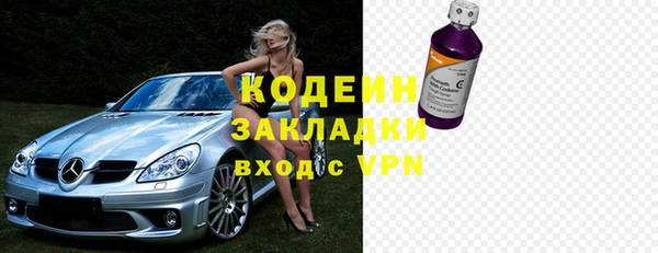 хмурый Тында