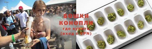 ALPHA PVP Елизово