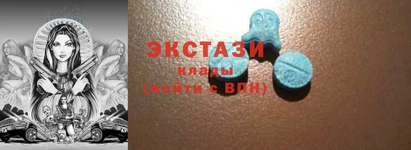 соль ск Ельня