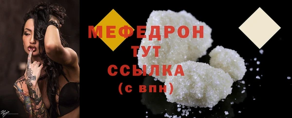 соль ск Ельня