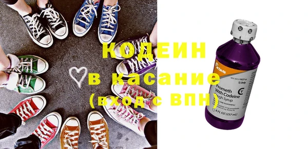 соль ск Ельня