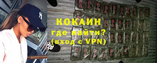 соль ск Ельня