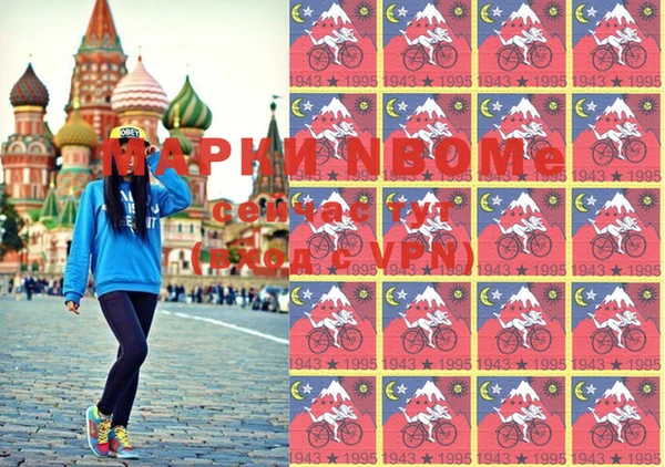 соль ск Ельня