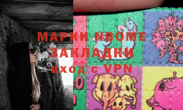 соль ск Ельня