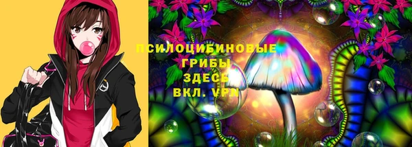 ALPHA PVP Елизово