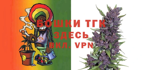 ALPHA PVP Елизово