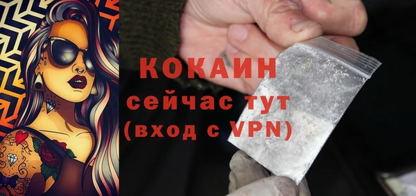 соль ск Ельня