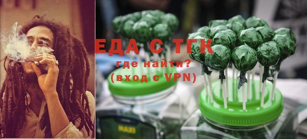 соль ск Ельня