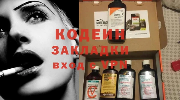соль ск Ельня