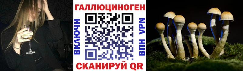 купить  сайты  Верхний Уфалей  hydra рабочий сайт  Галлюциногенные грибы прущие грибы 