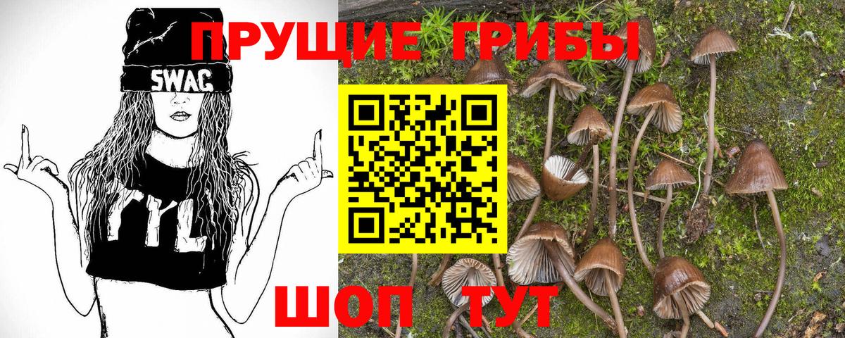 Псилоцибиновые грибы ЛСД  Псилоцибиновые грибы MAGIC MUSHROOMS  Вход с VPN  Верхний Уфалей 