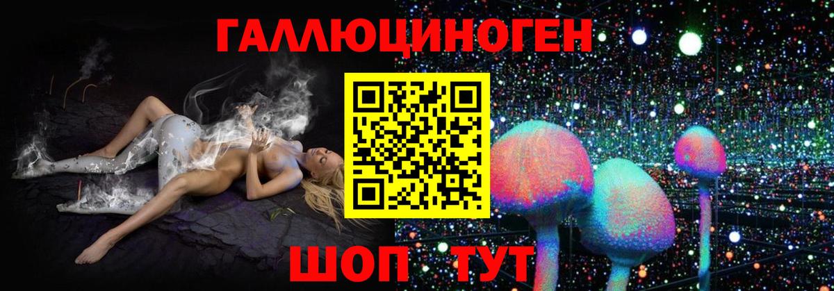 Галлюциногенные грибы Psilocybe Верхний Уфалей